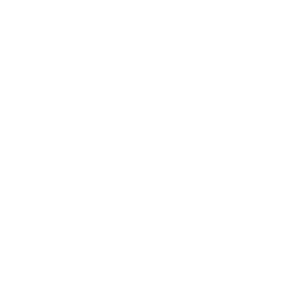 Logo ARN Light